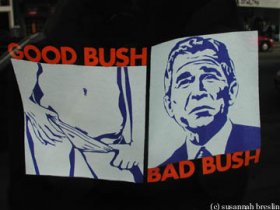 good_bush_bad_bush.jpg