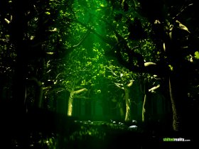 green_forest_1152.jpg