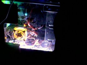 glowing birds nest.jpg