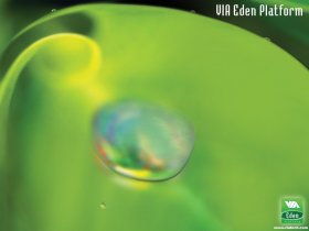 eden_WP_1024x768.jpg