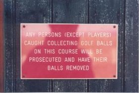 picsballs.jpg