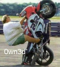 87-wheelie.jpg