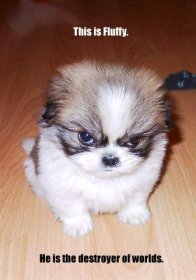 FluffyWorldDestroyer.jpg