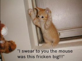 big_mouse.JPG