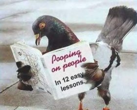 12lessons.jpg