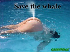 WHALE.jpg