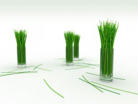 Lemon Grass.jpg