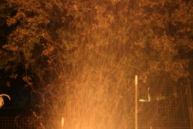 IMG_2117.jpg