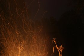 IMG_2118.jpg
