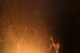 IMG_2119.jpg