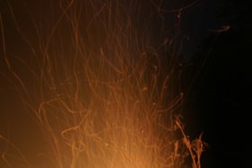 IMG_2120.jpg