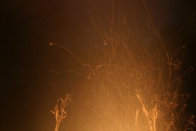 IMG_2121.jpg