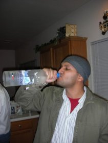 goose.jpg