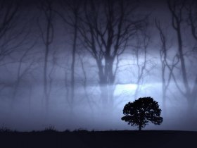 evening_haze.jpg
