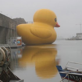 worldslargestrubberducky_700.jpg