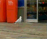 21j1u1e.gif
