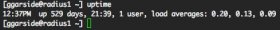 Terminal — ssh — 101×27.jpg