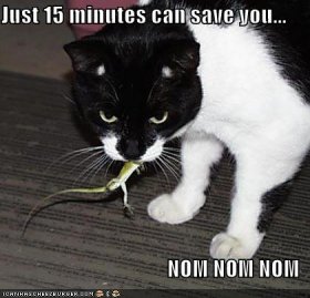 Geico.jpg