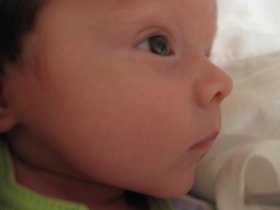 IMG_0531.jpg