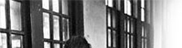 asylum1.gif