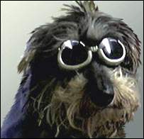 _40691897_goggles_rusbridge_b203.jpg