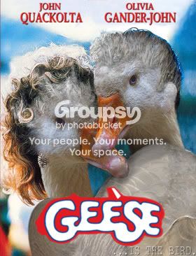 Geese4.jpg