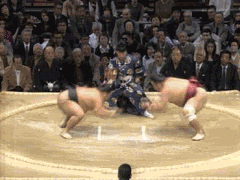 1133830888745fi8.gif
