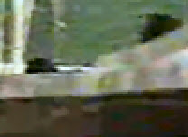 Image3.jpg